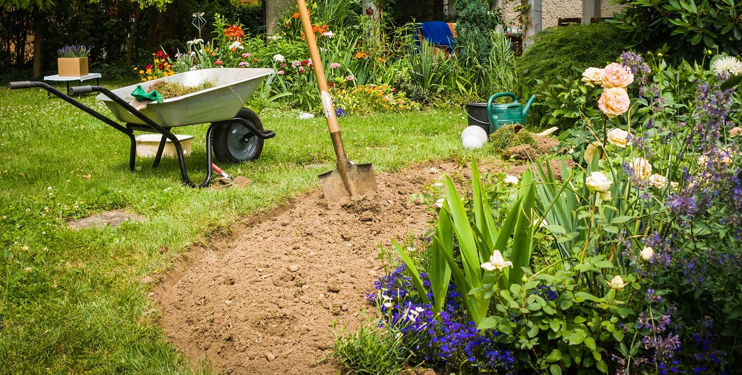 Vakkundig tuinonderhoud in Den Haag door uw hovenier